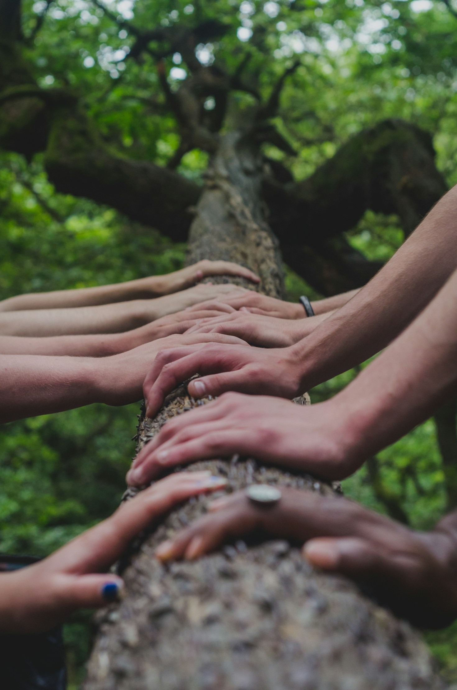 10 Ways to Support the Mulenge Cause
